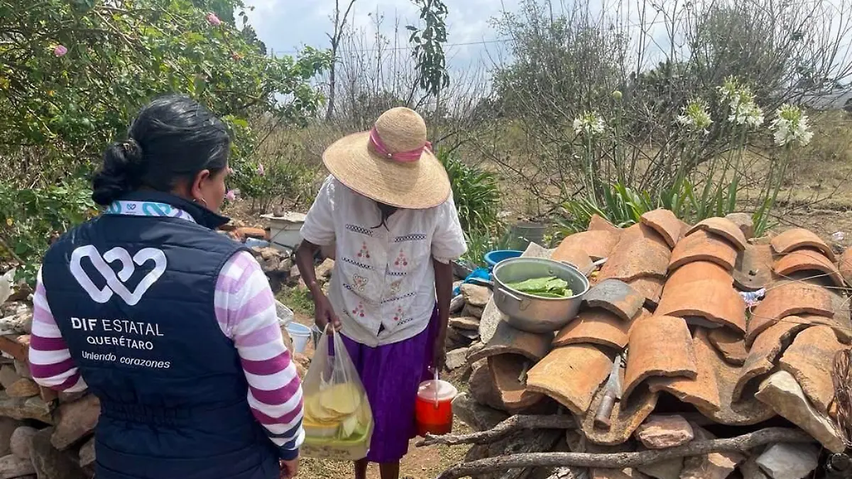 Damnificados Amealco